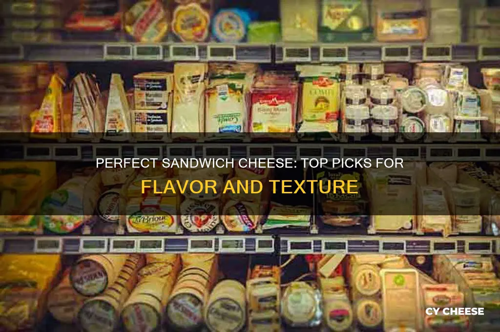 what a good cheese for a sandwhich