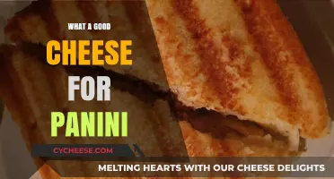 Perfect Panini Pairings: Top Cheeses to Elevate Your Sandwich Game