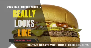 The Quarter Pounder: Unveiling the Reality