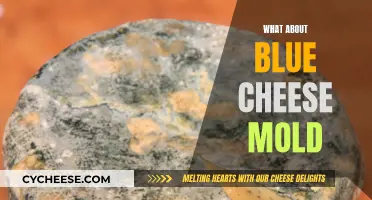 Blue Cheese Mold: Friend or Foe?