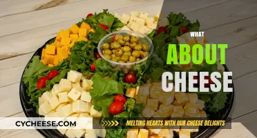 Exploring Cheese: Types, Benefits, and Delicious Ways to Enjoy It