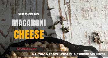 Mac and Cheese: The Perfect Sidekick for Your Dish