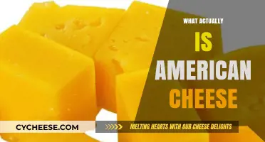 Unraveling the Mystery: What Actually is American Cheese?