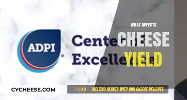 Factors Influencing Cheese Yield: Key Variables and Production Insights