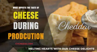 Exploring Factors Shaping Cheese Flavor During Production Process