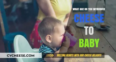 Introducing Cheese to Your Baby: The Perfect Age and Tips
