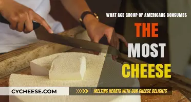 Cheese Consumption Trends: Which American Age Group Loves Cheese Most?
