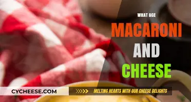 Mac and Cheese: A Timeless Comfort Food for All Ages