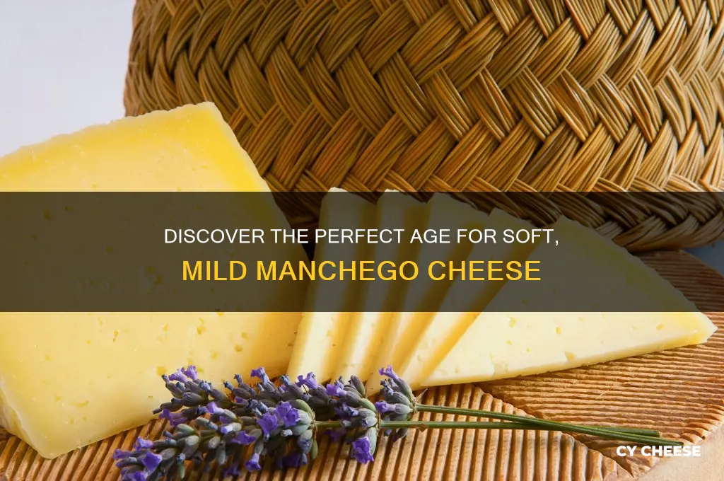 what age manchego cheese is softest and mildest