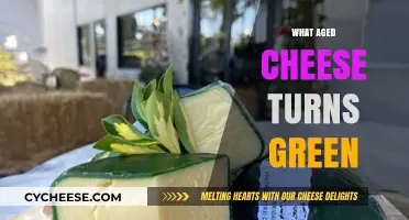 Why Aged Cheese Turns Green: Uncovering the Moldy Mystery