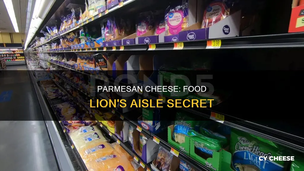 what aisle is parmesan cheese in food lion