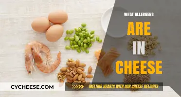 Uncovering Hidden Allergens: What’s Lurking in Your Cheese?