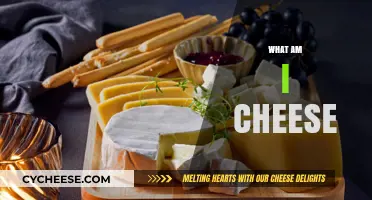 What Am I Cheese? Exploring the Identity of a Dairy Delight