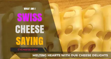 Swiss Cheese Sayings: Holes in Our Understanding