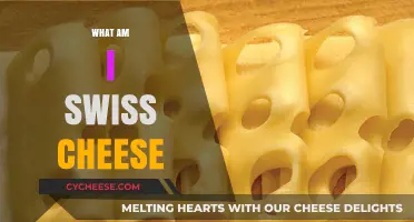Swiss Cheese: My Holes, My Strengths