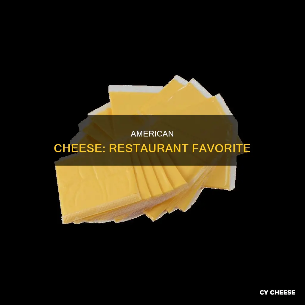what american cheese do restaurants use