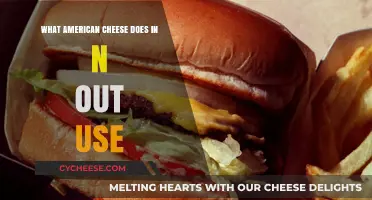In-N-Out's American Cheese: What's the Secret?