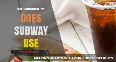 The Real Deal: Subway's American Cheese