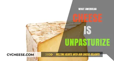 Unpasteurized American Cheese: Exploring Raw Milk Varieties and Risks