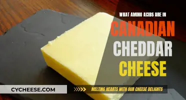 Unraveling the Amino Acid Secrets of Canadian Cheddar