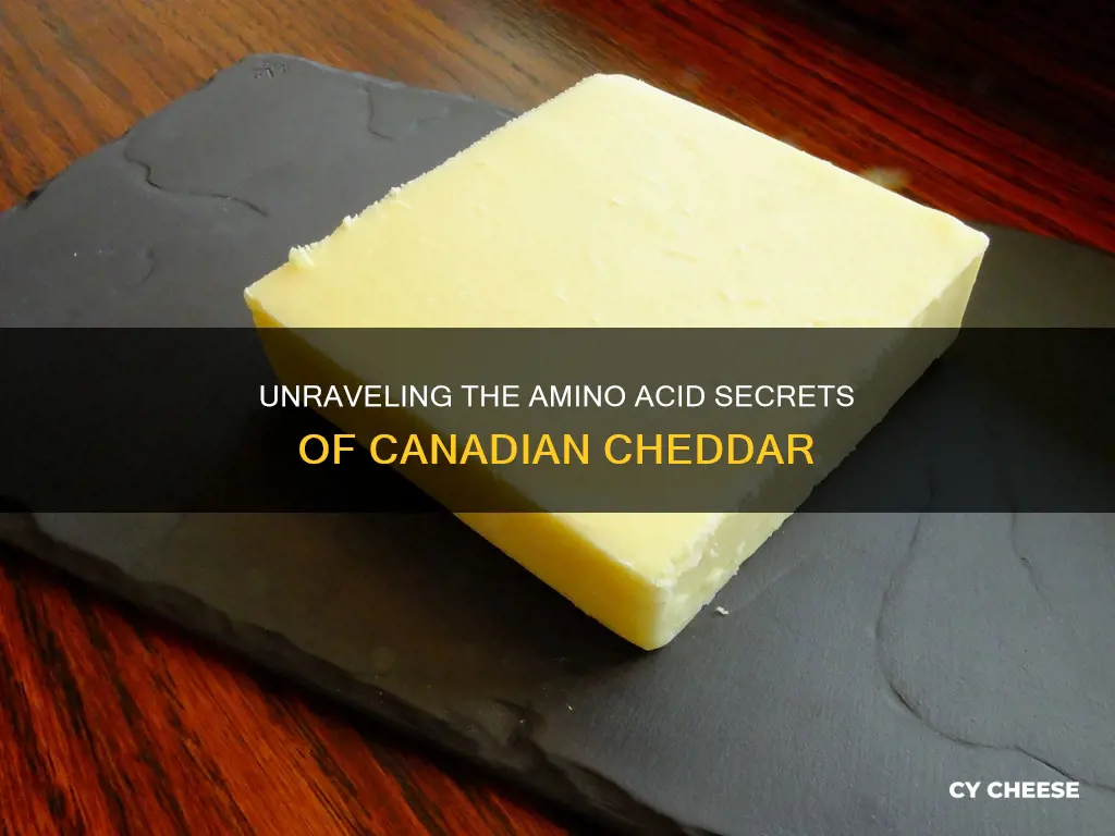 what amino acids are in canadian cheddar cheese