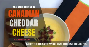 Amino Acids in Canadian Cheddar: The Science Behind Flavor