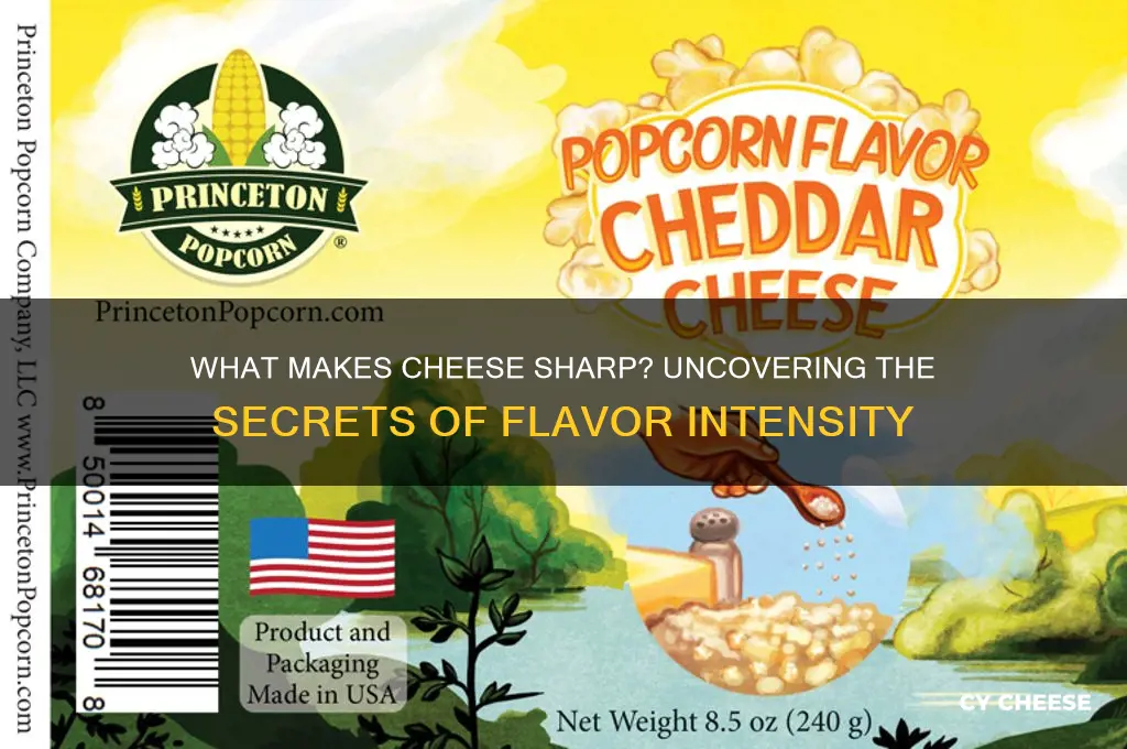 what amkes cheese sharp