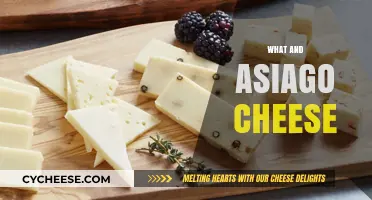 Discover Asiago Cheese: Origins, Varieties, and Culinary Uses Explained