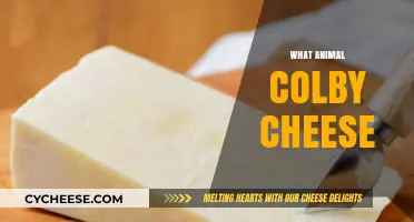 What Animal is Colby Cheese Named After? Unraveling the Dairy Mystery