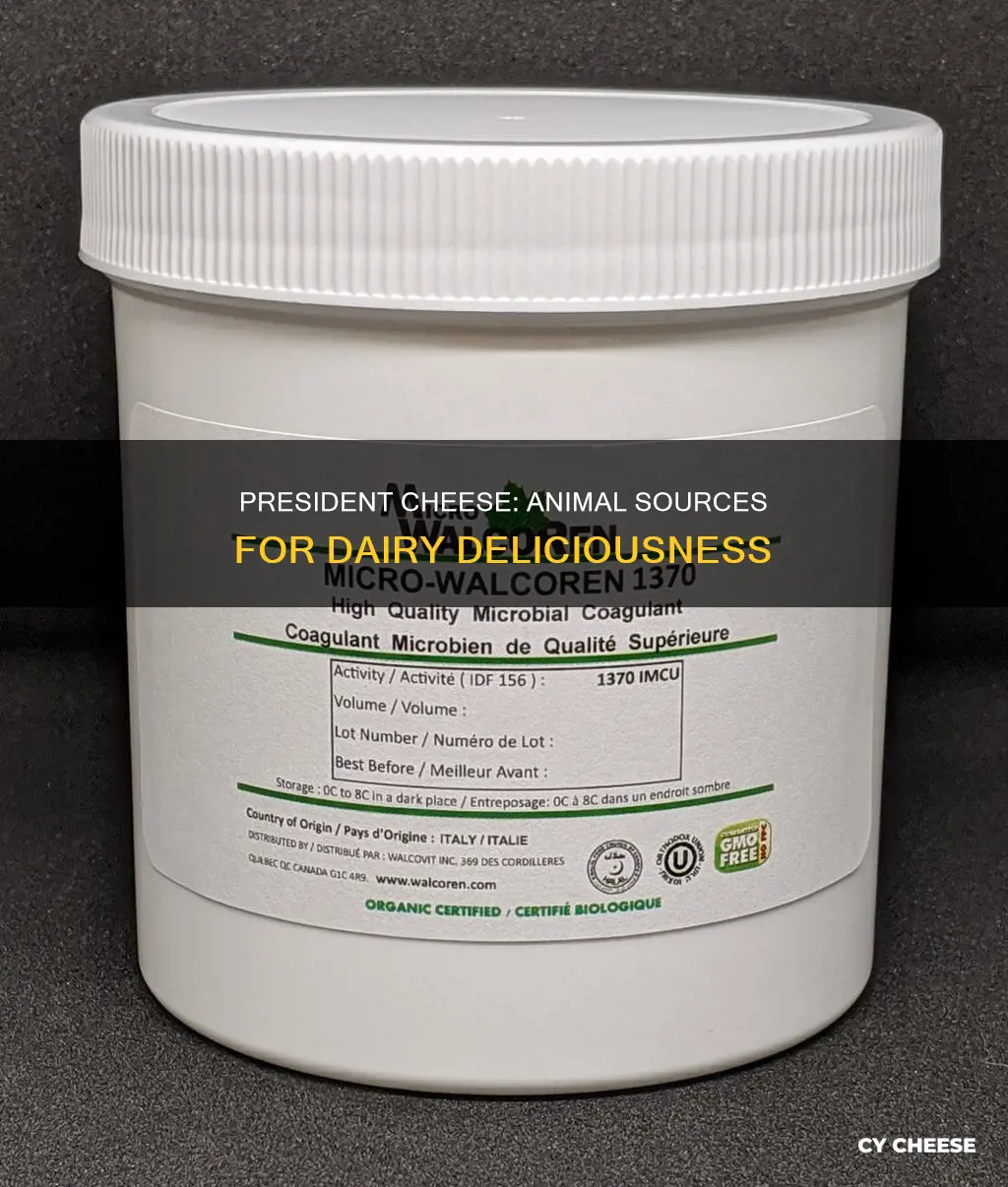 what animal does president cheese use for cheese