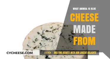 Unveiling the Blue Cheese Mystery: Animal Origins Revealed