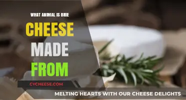 Unveiling Brie's Origin: Cow's Milk or Something Else?