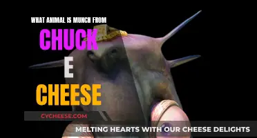 The Mystery of Munch's Animal Species at Chuck E. Cheese