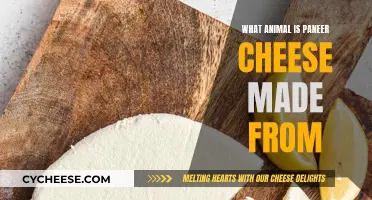 The Mystery of Paneer Cheese: What Animal Does It Come From?