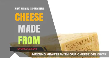 Unveiling the Dairy Secret: Animal Source of Parmesan