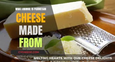 The Secret Animal Source of Parmesan Cheese