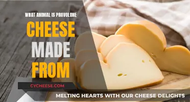 Provolone Cheese: Which Animal Milk Is Used?