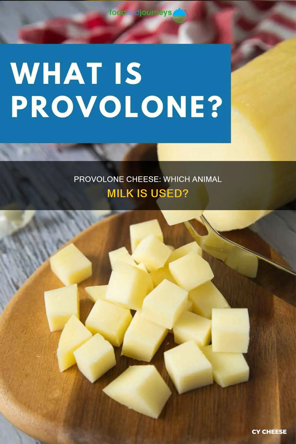 what animal is provolone cheese made from