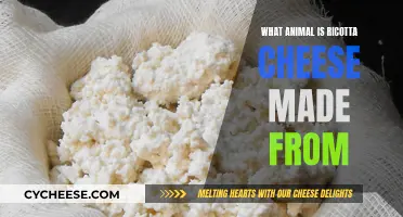 The Source of Ricotta Cheese: Animal Origins