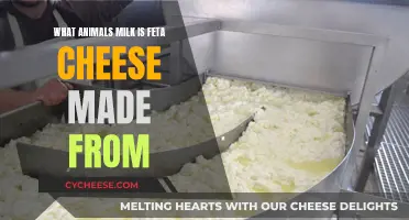 Feta Cheese: What Animal Milk Is Used?