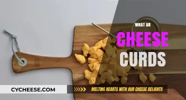 Discover the Squeaky Delight: What Are Cheese Curds and Why Love Them