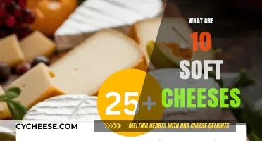 Discover the Creamy World of Top Soft Cheeses to Try