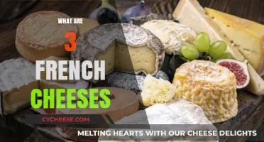 Discover the Flavors of France: 3 Iconic French Cheeses to Try