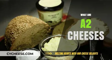 Discover the Creamy, Nutty World of A2 Cheeses: A Guide