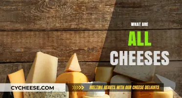 Exploring the Diverse World of Cheese Varieties and Types