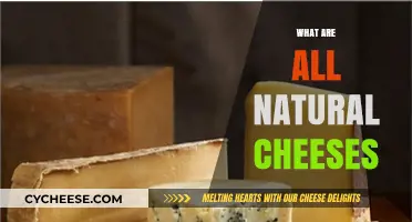 Exploring All-Natural Cheeses: Ingredients, Varieties, and Artisanal Craftsmanship
