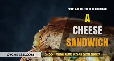 Exploring the Surprising Food Groups in a Classic Cheese Sandwich