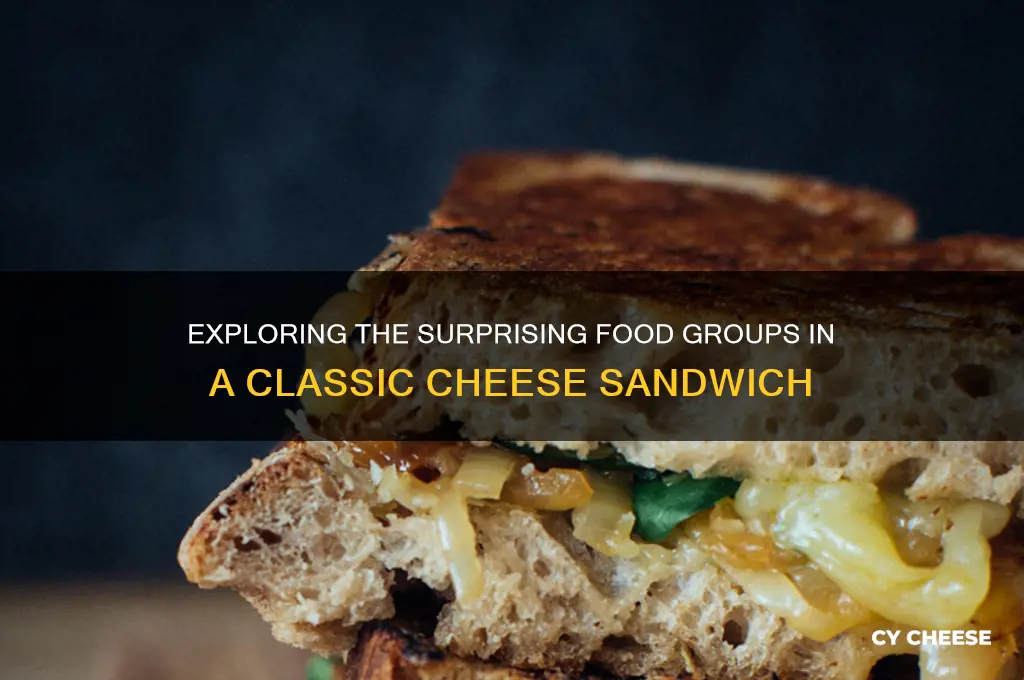 what are all the food groups in a cheese sandwich