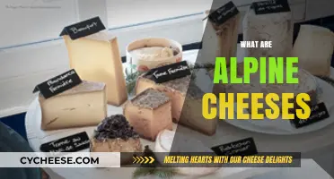 Exploring Alpine Cheeses: Origins, Characteristics, and Flavor Profiles