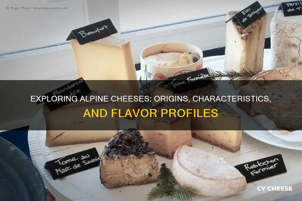 what are alpine cheeses